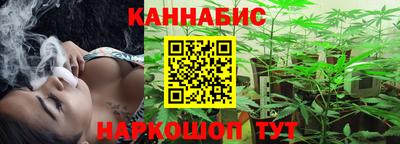 сатива Нальчик