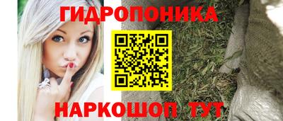 сатива Нальчик