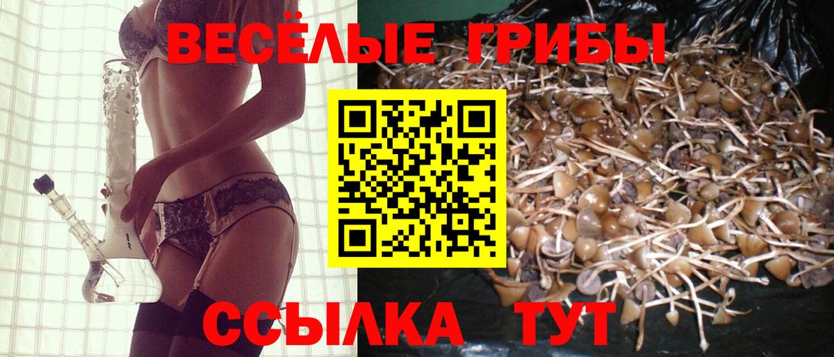 Туапсе  Псилоцибиновые грибы Cubensis  Вход с VPN  Галлюциногенные грибы ЛСД 