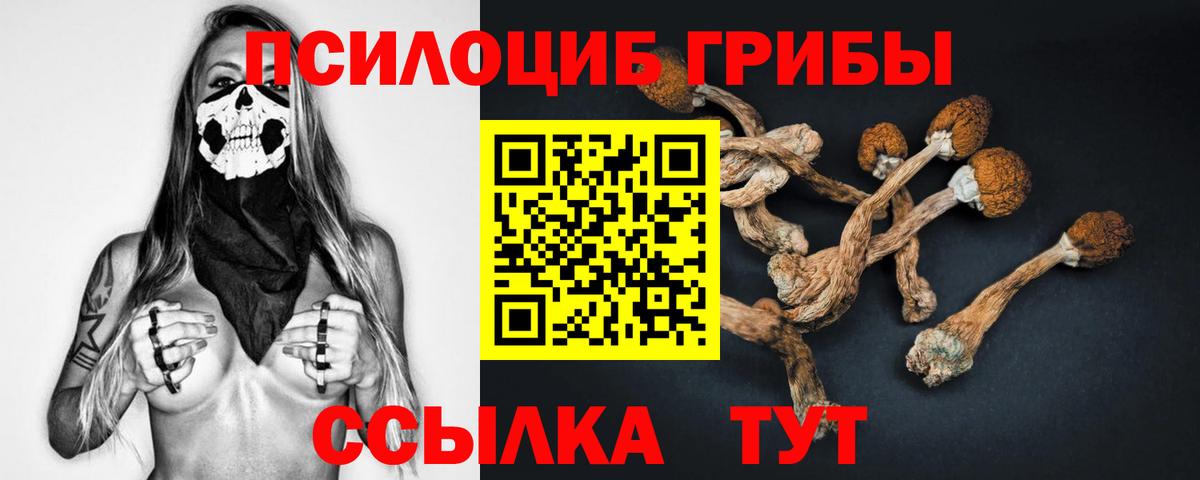 Галлюциногенные грибы мицелий Туапсе